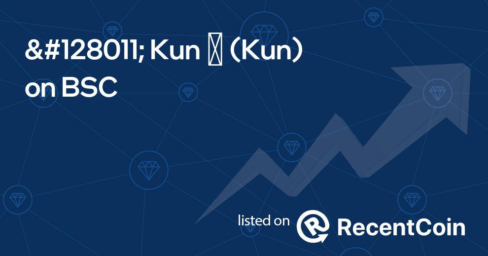 Kun coin