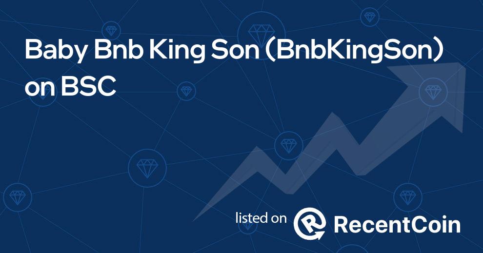 BnbKingSon coin