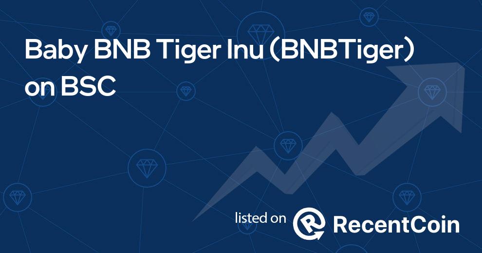 BNBTiger coin