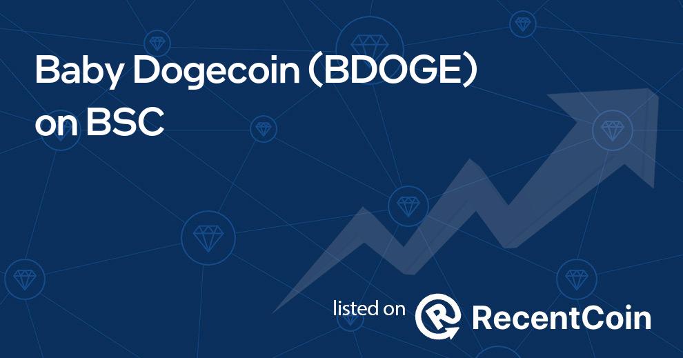 BDOGE coin