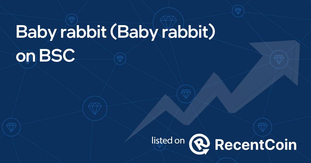 Baby rabbit coin