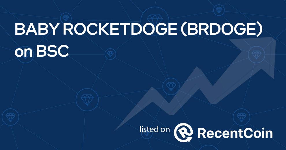 BRDOGE coin