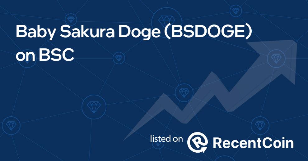 BSDOGE coin