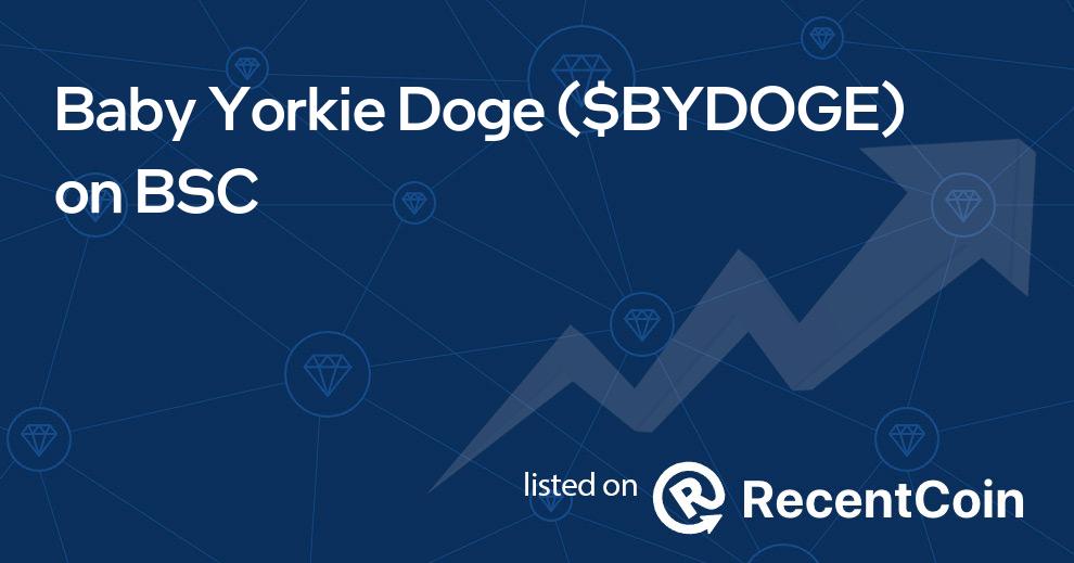 $BYDOGE coin