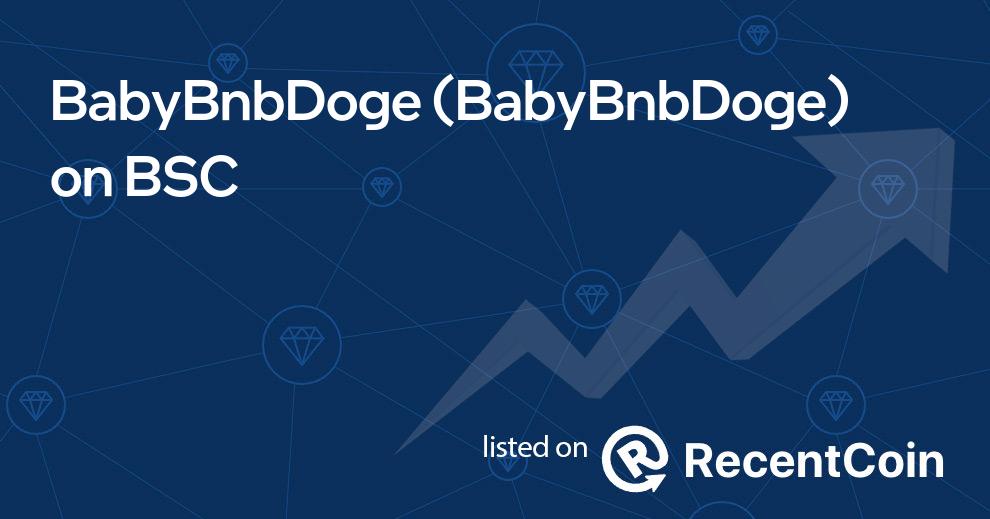 BabyBnbDoge coin