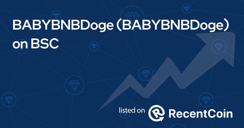 BABYBNBDoge coin