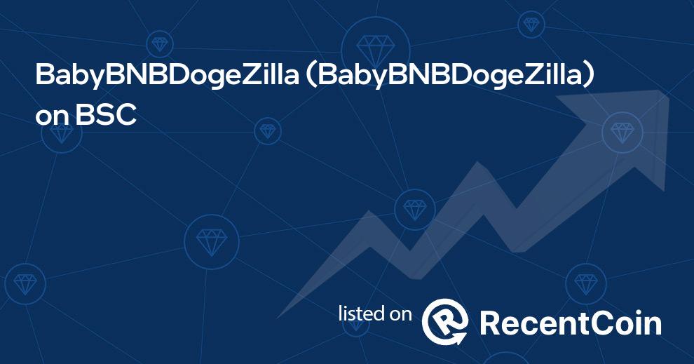 BabyBNBDogeZilla coin