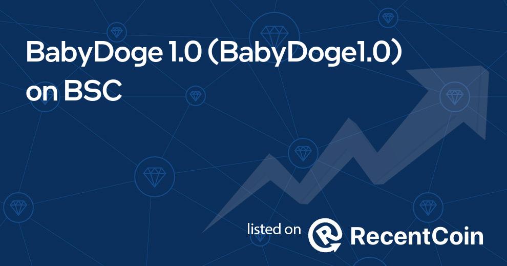 BabyDoge1.0 coin