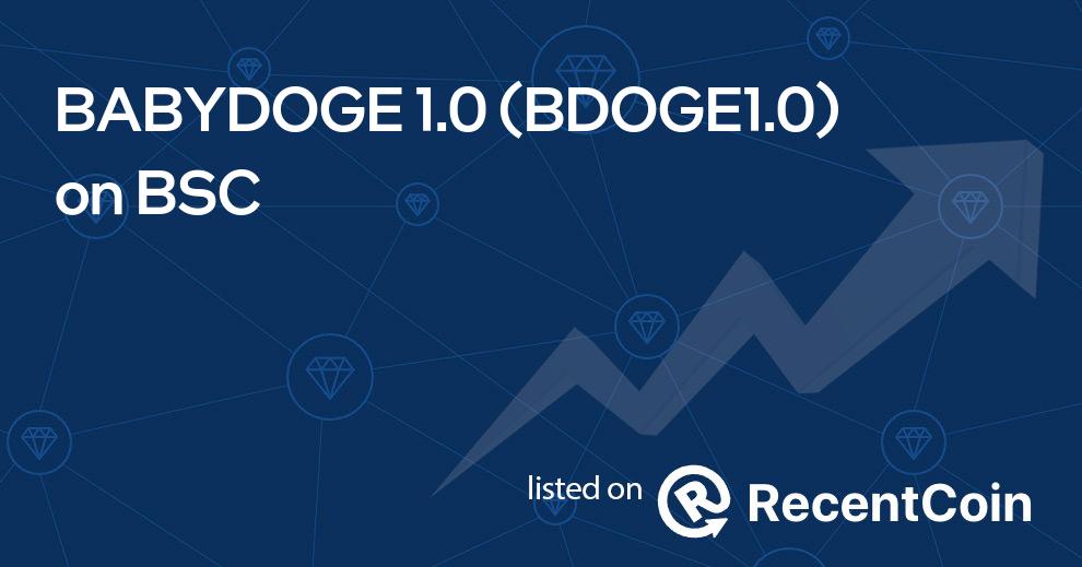 BDOGE1.0 coin