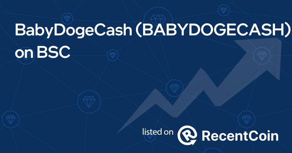 BABYDOGECASH coin