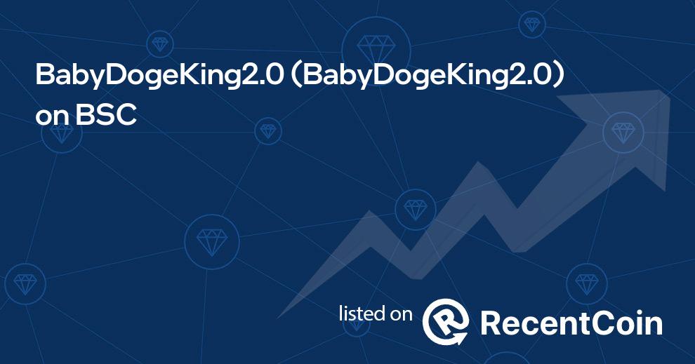 BabyDogeKing2.0 coin