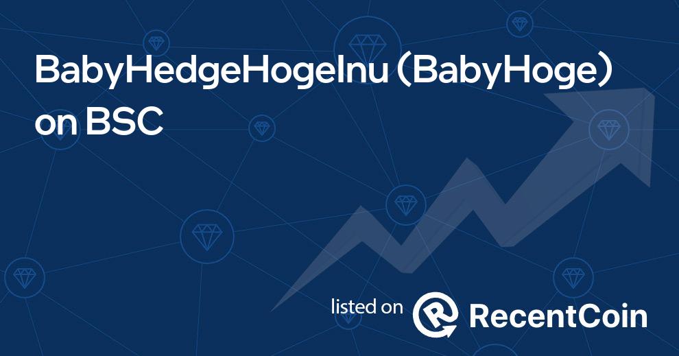 BabyHoge coin