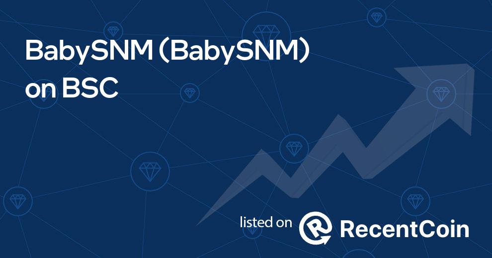 BabySNM coin