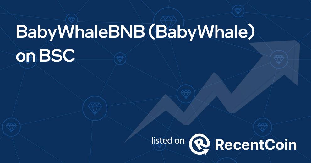 BabyWhale coin