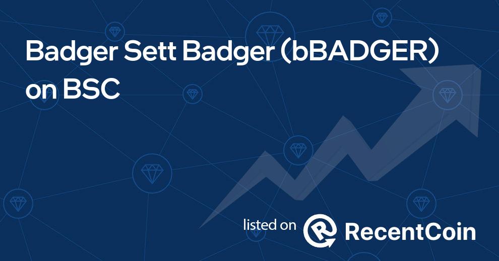 bBADGER coin