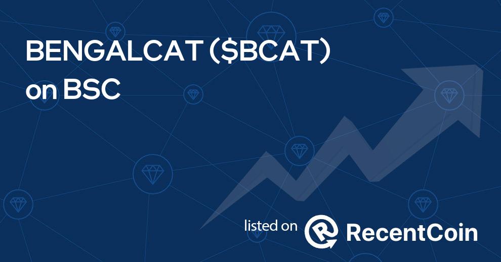 $BCAT coin