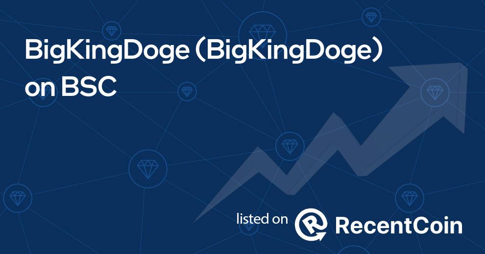 BigKingDoge coin