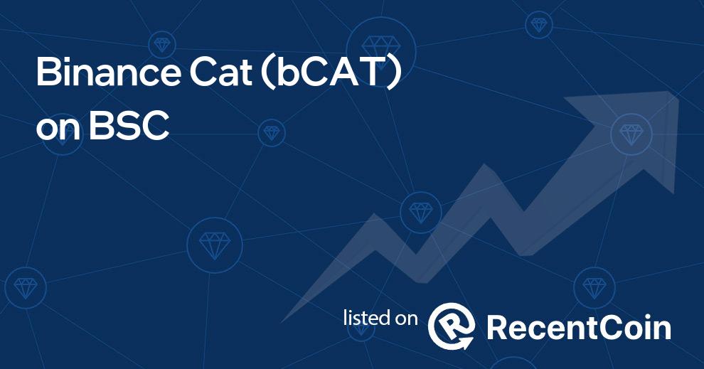 bCAT coin