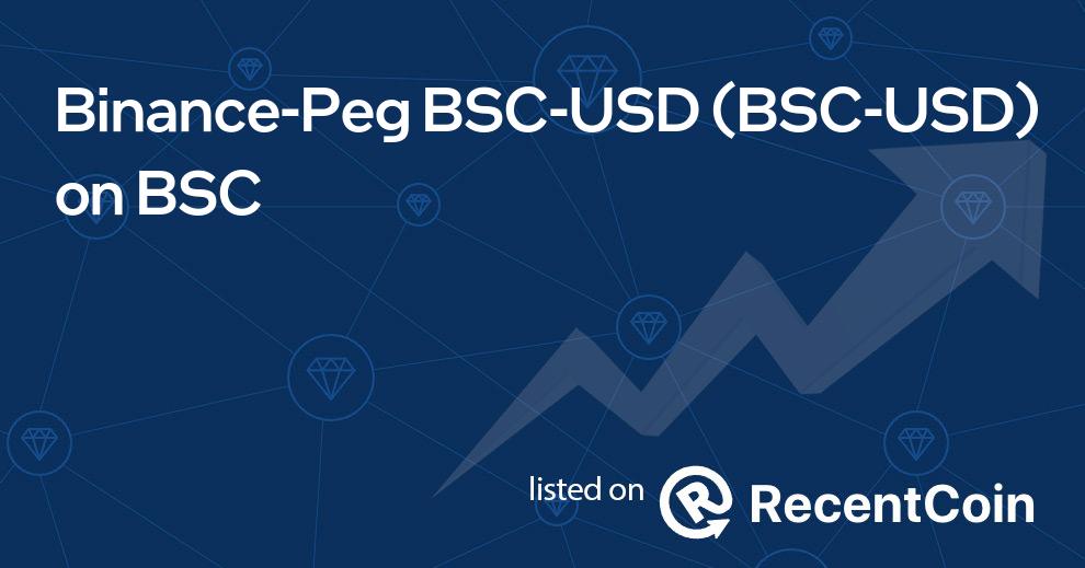 BSC-USD coin