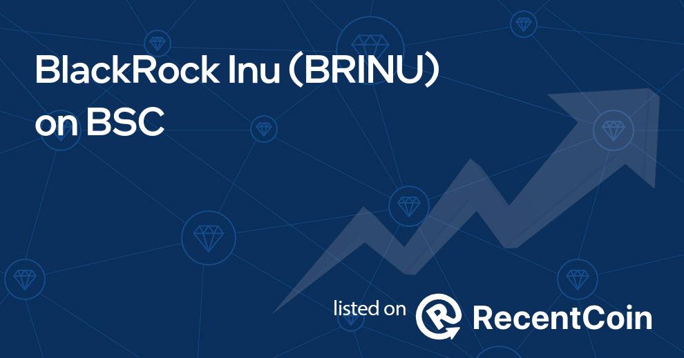 BRINU coin