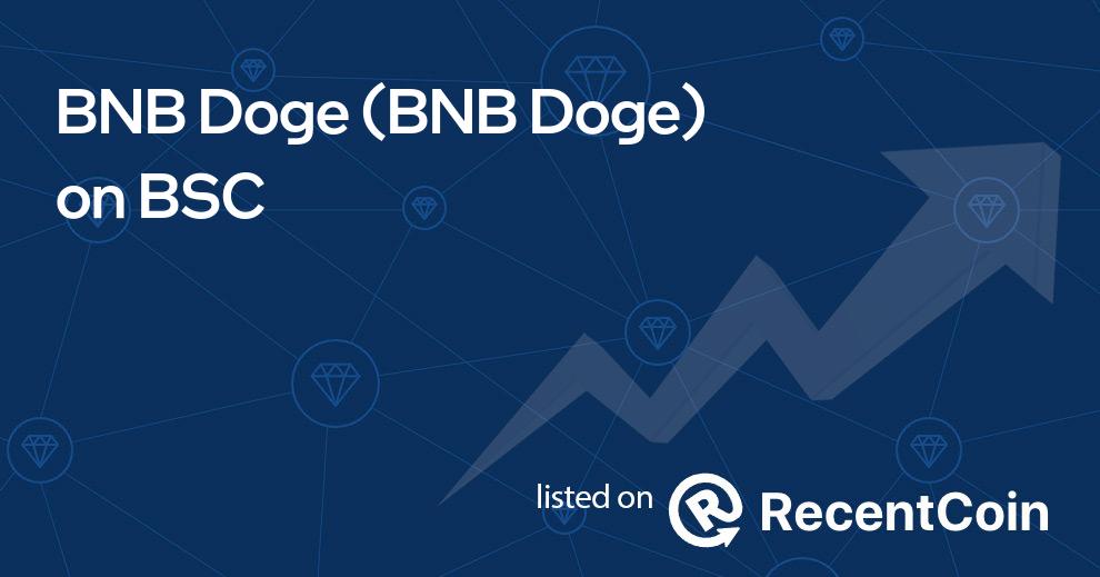 BNB Doge coin