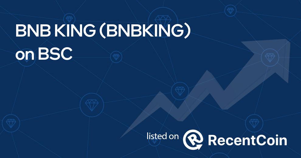 BNBKING coin