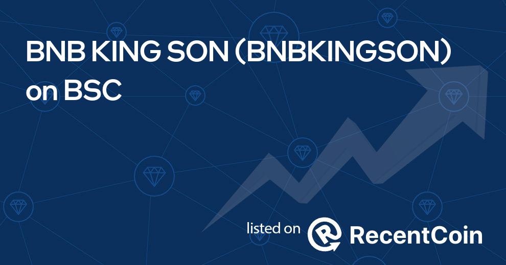 BNBKINGSON coin