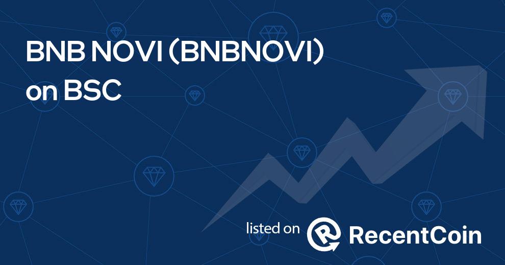 BNBNOVI coin