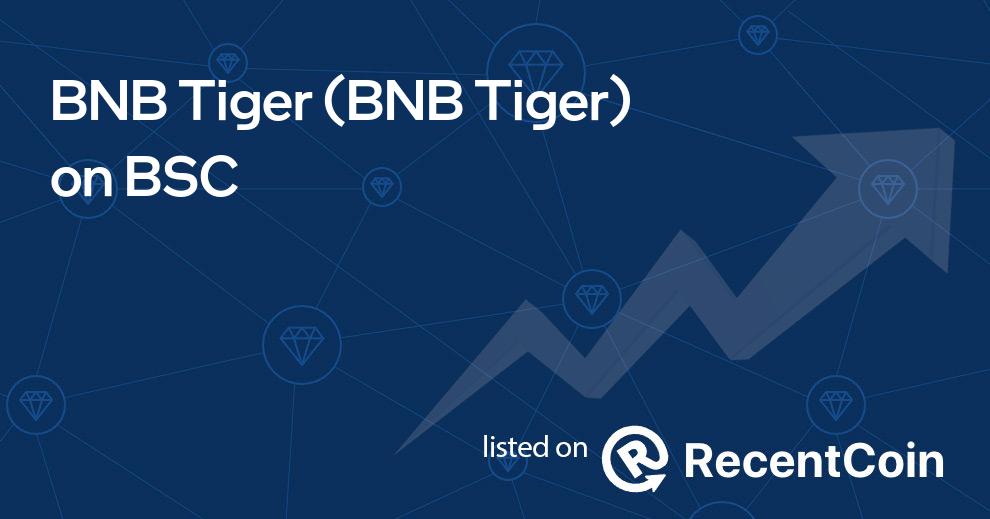 BNB Tiger coin