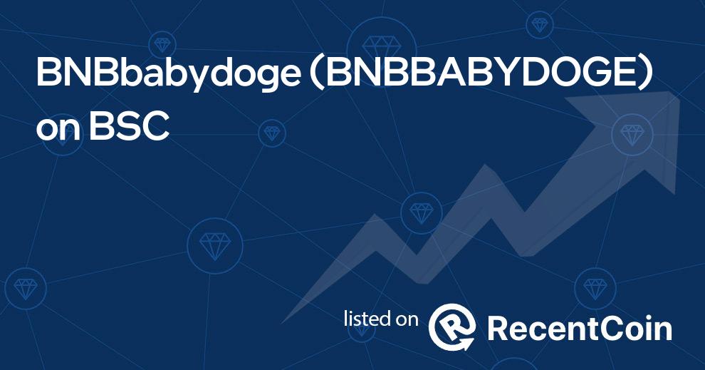 BNBBABYDOGE coin