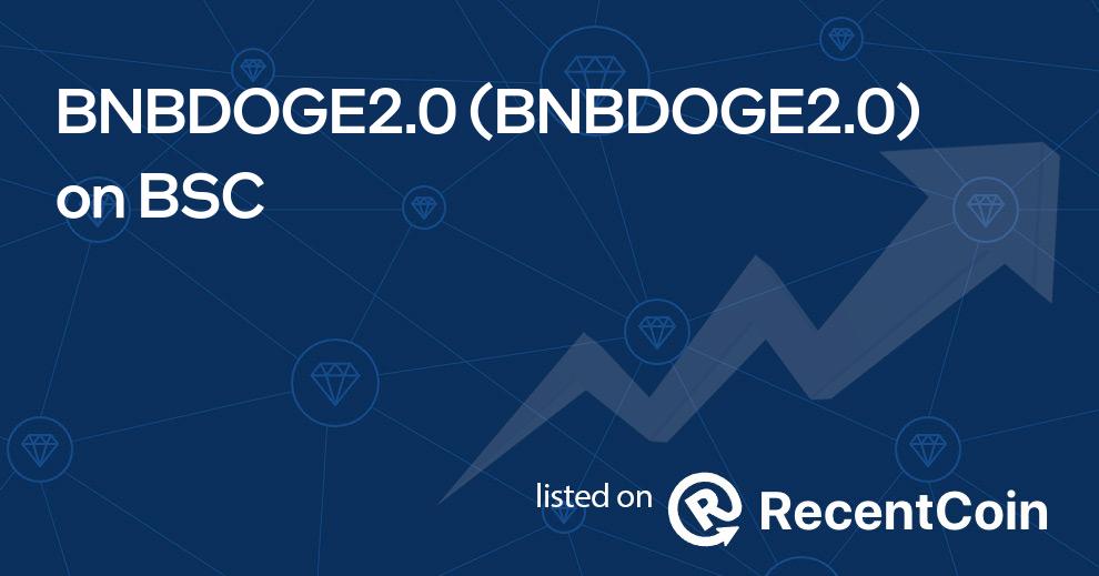 BNBDOGE2.0 coin