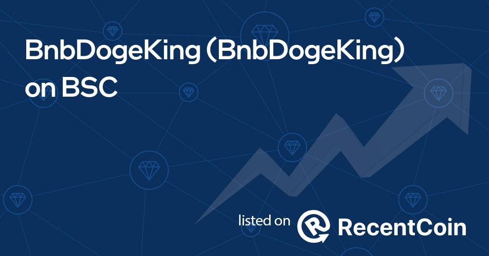 BnbDogeKing coin