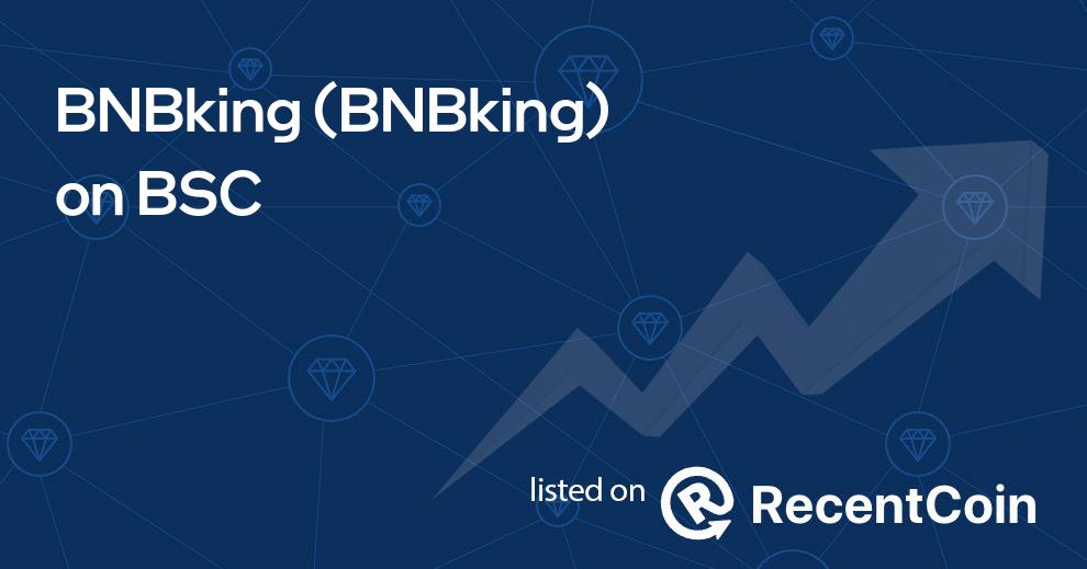 BNBking coin