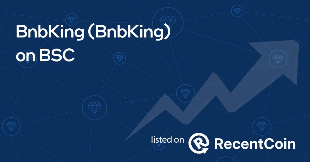 BnbKing coin