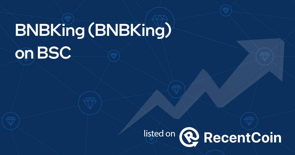 BNBKing coin