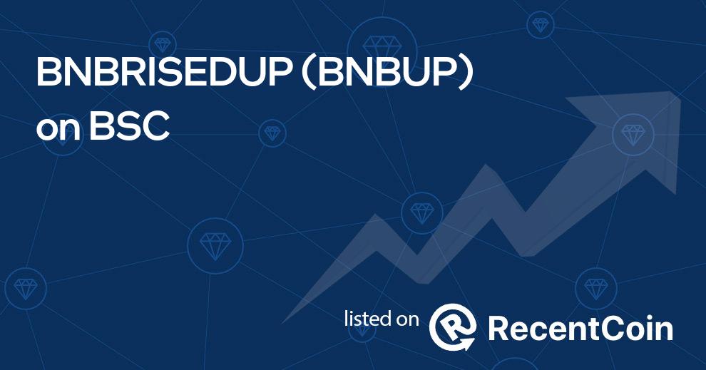 BNBUP coin