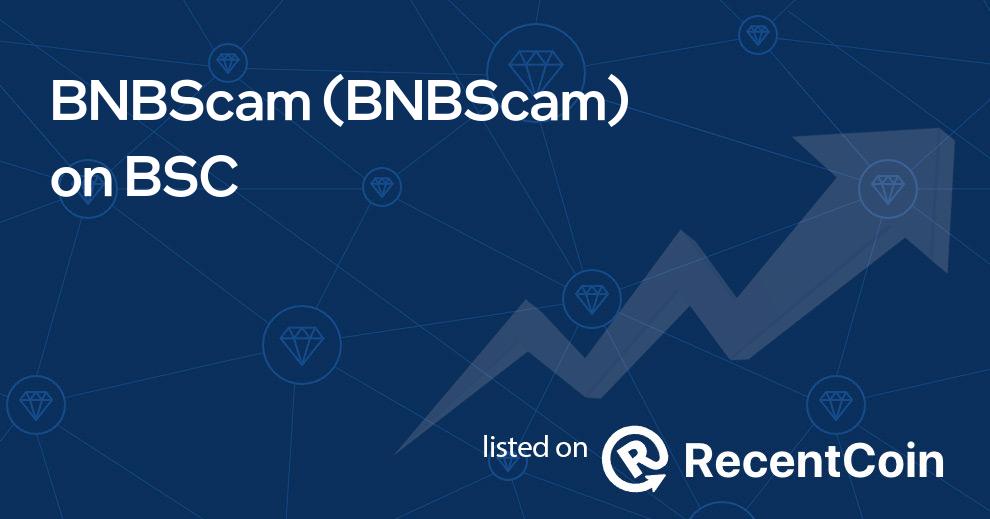 BNBScam coin