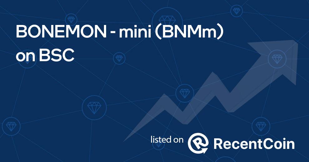 BNMm coin