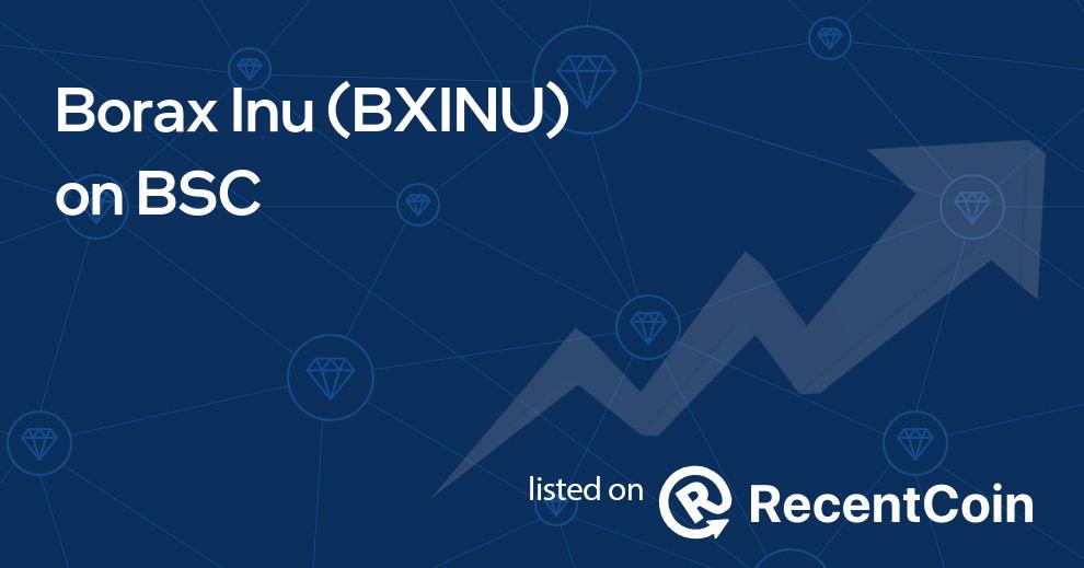 BXINU coin