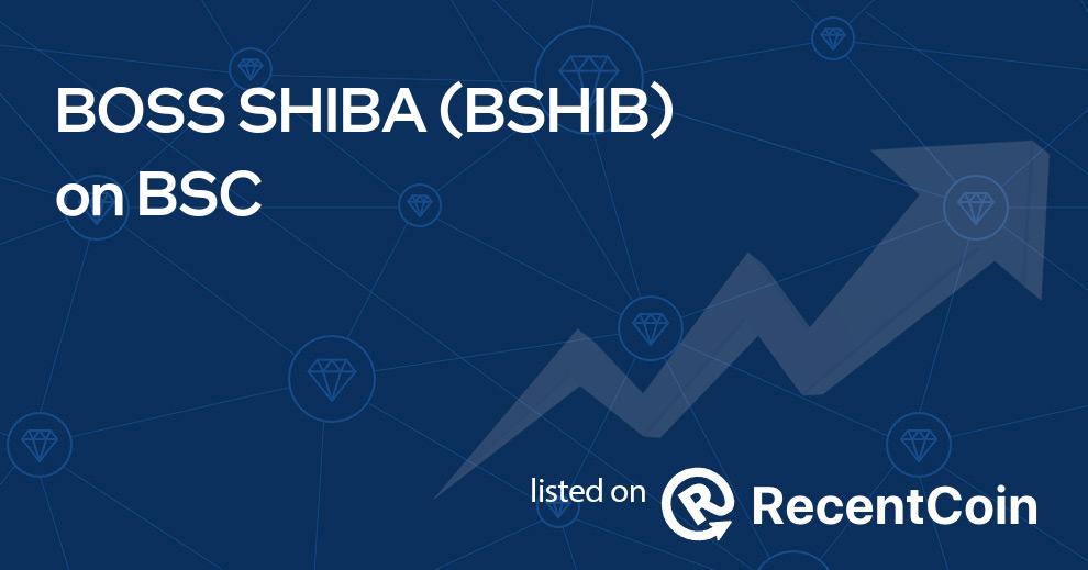 BSHIB coin