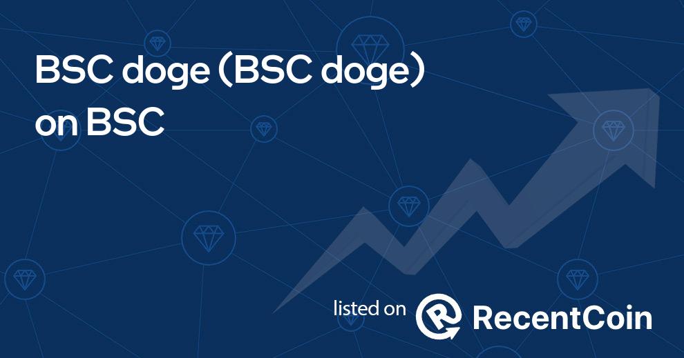 BSC doge coin