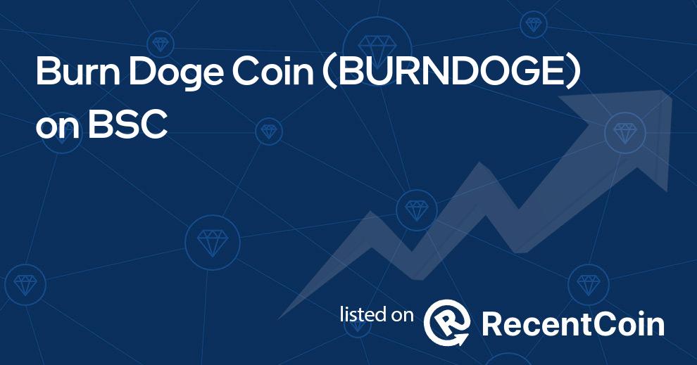 BURNDOGE coin