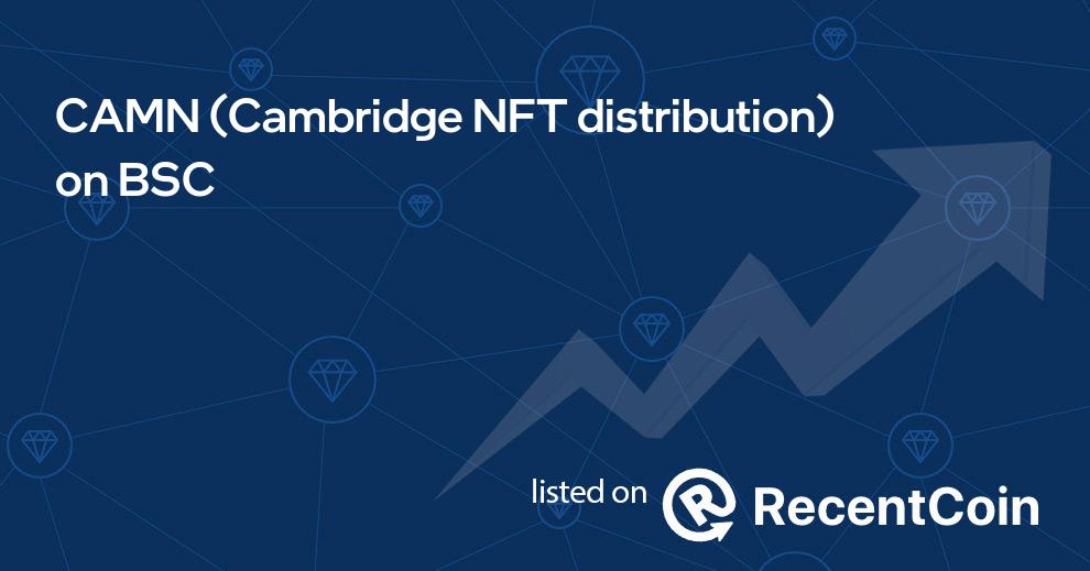 Cambridge NFT distribution coin