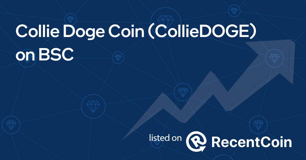 CollieDOGE coin