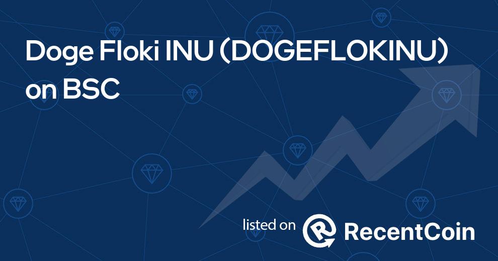 DOGEFLOKINU coin