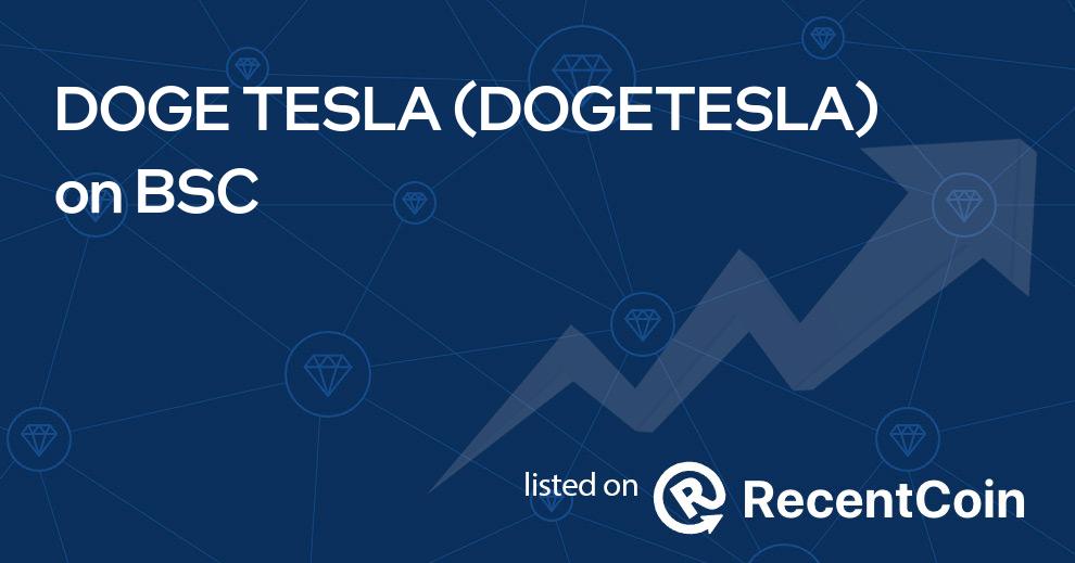 DOGETESLA coin