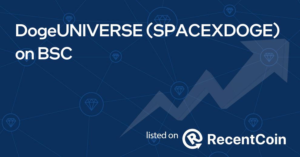 SPACEXDOGE coin