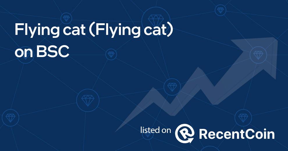Flying cat coin