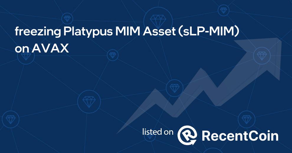 sLP-MIM coin