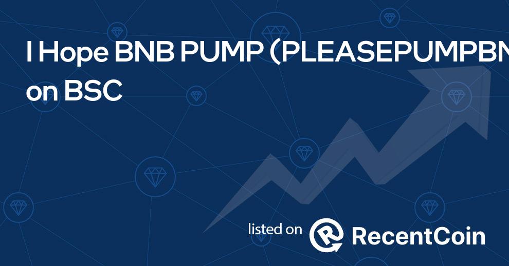 PLEASEPUMPBNB coin